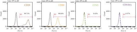 Characterization Of Adscs A Flow Cytometric Analysis Of Surface Download Scientific Diagram