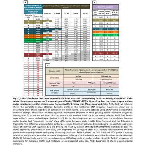 PFGE simulation that show expected PFGE band sizes and corresponding ...