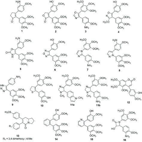 Selected Cis Restricted Stilbene Like Analogs Endowed With Biological Download Scientific