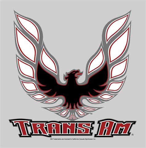 Trans AM Bird Logo LogoDix