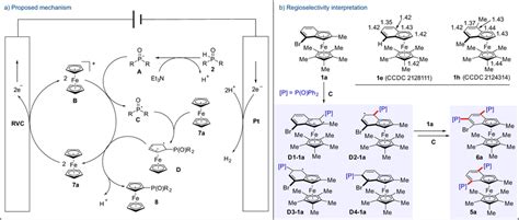 Proposed Mechanism A Proposed Mechanism B Regioselectivity