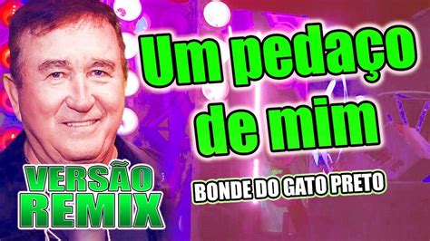 AMADO BATISTA UM PEDAÇO DE MIM VERSÃO REMIX SOM REMIX YouTube