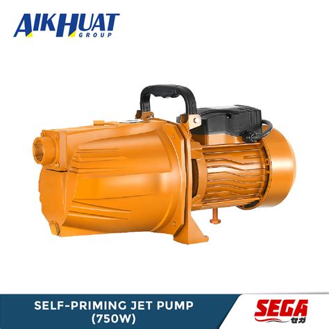 Japan Sega Self Priming Jet Pump 750w Home Water Booster Pump Pam Air 1