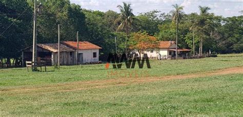 Fazenda S Tio M Em Zona Rural Em Santo Ant Nio Do Aracangu