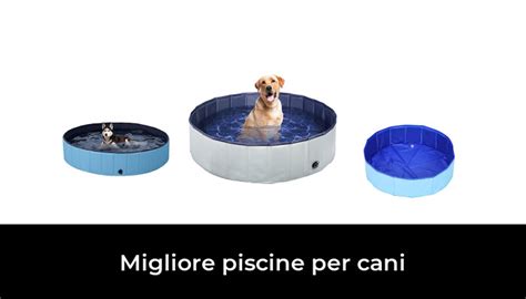 48 Migliore Piscine Per Cani Nel 2024 Secondo Gli Esperti