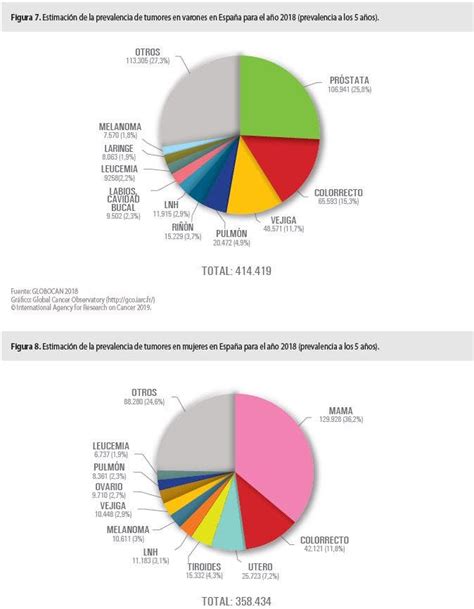 C Ncer En Espa A Aumento De Casos Y Supervivencia