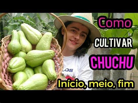 Aprenda A Melhor T Cnica Para Plantar Chuchu E Aduba Ao Para Carregar