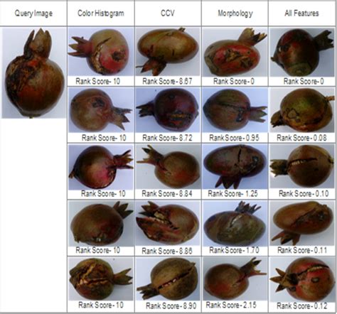 Figure From Agrosearch A Web Based Search Tool For Pomegranate