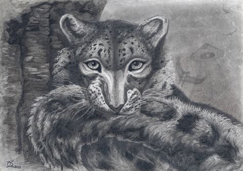 Snow Leopard With A Tail In Mouth By Calcitemink1610 On Deviantart