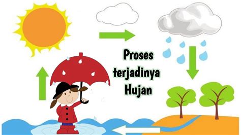 Gambar Proses Terjadinya Hujan Kelas 3 Sd Soal Dan Jawaban Siklus Air