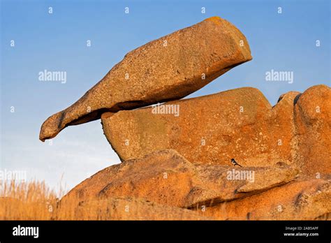 Strange rock formations and water wind eroded boulders along the Côte