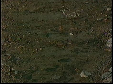 Cartório Do Distrito De Rio Maina Criciúma Sc