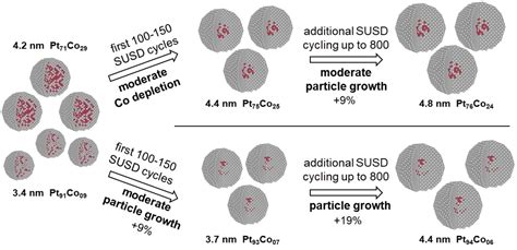 Monitoring The Morphological Changes Of SkeletonPtCo Electrocatalyst