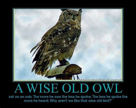 Owl Wisdom Quotes. QuotesGram