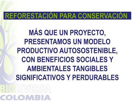 Ppt Reforestaci N Para Conservaci N Powerpoint Presentation Free