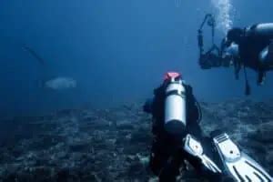 Thresher Shark Diving In Malapascua Cebu Ultimate Guide