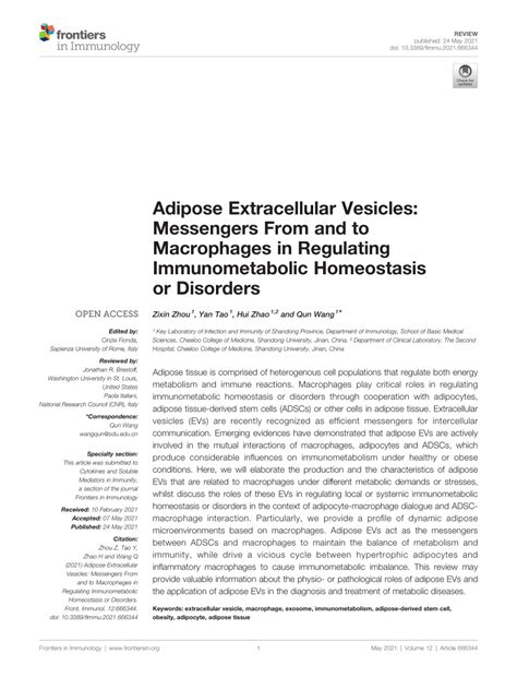 PDF Adipose Extracellular Vesicles Messengers From And To