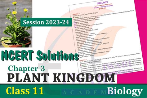 Ncert Solutions For Class 11 Biology Chapter 3 Plant Kingdom