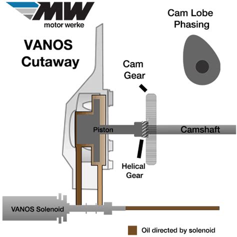 BMW’s VANOS System and Common Issues Explained - Motor Werke