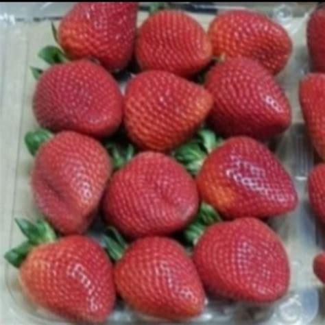 Jual Buah Strawberry Strawberi Buah Segar Shopee Indonesia