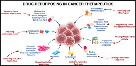 Of The Various Mechanisms Of Action Targeted By Non Oncology Drugs In