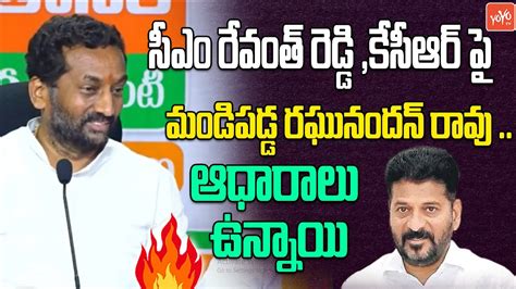 Medak BJP MP Candidate Raghunandan Rao Best Comments On CM Revanth