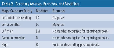 Cardiovascular Coding Solve The Pci Puzzle Using Cpt® And Ncci