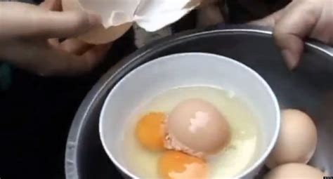 Chicken Lays Giant Egg In Chinese Village (VIDEO) | HuffPost