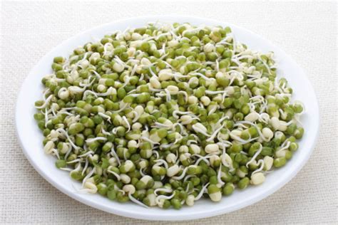 What Is The Nutritional Value Of Sprouted Moong Per 100g And Is Sprouted Moong Per 100g Healthy