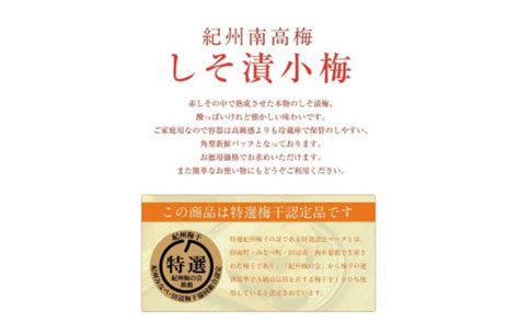 ご家庭用 しそ漬小梅 塩分18％ 200g 紀州産小梅 和歌山県産 産地直送 福梅本舗 和歌山県白浜町｜ふるさとチョイス ふるさと納税サイト