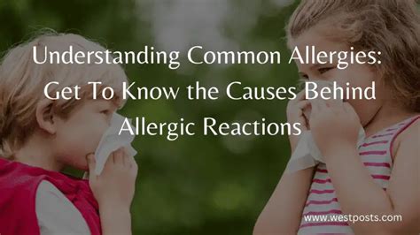 Understanding Common Allergies Get To Know The Causes Behind Allergic