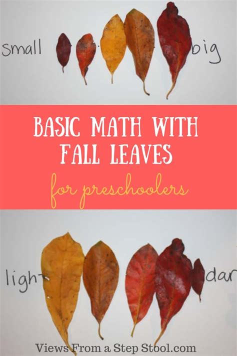 Basic Preschool Math With Fall Leaves