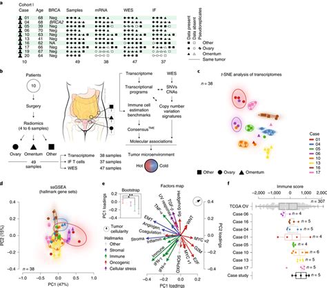 Immune Related Gene Signatures Contribute To Most Of The Download