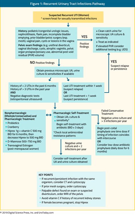 Recurrent Urinary Tract Infection Ruti In Women Clinical Care Pathway