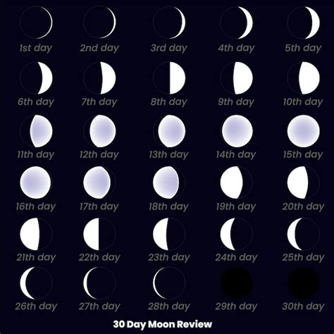 Conjunto Lunar De D As Una Tabla De Revisi N De La Luna Con La Fecha