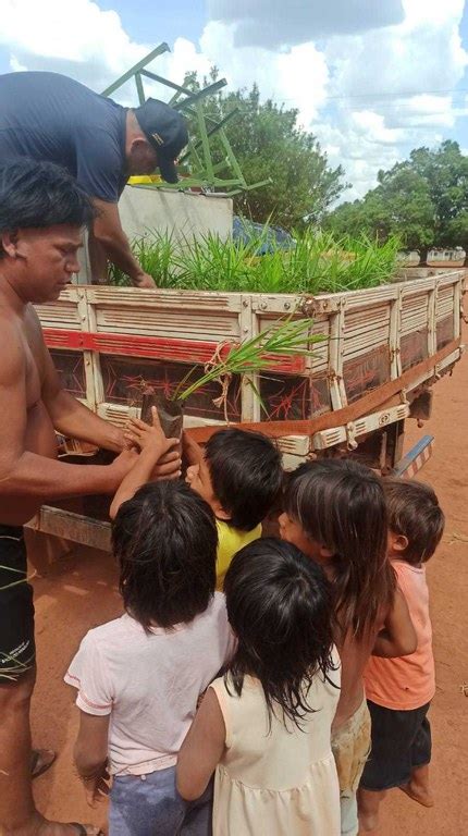 Funai desenvolve ações para promover a segurança alimentar conservação