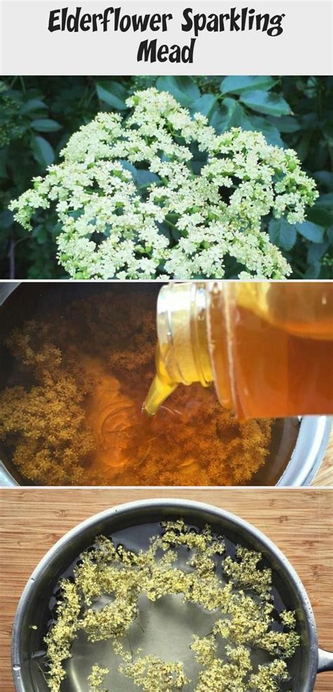 Elderflower Sparkling Mead In 2020 Elderflower Mead Recipe