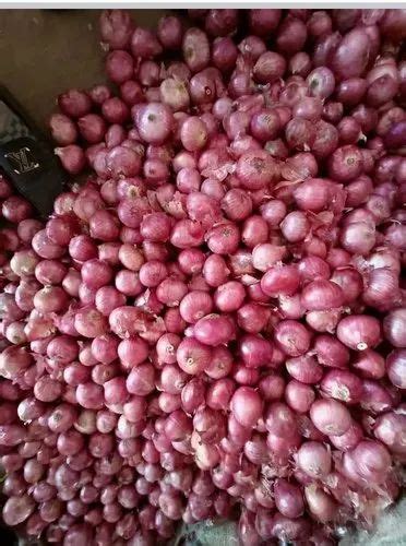 A Grade Maharashtra Red Onion Gunny Bag Onion Size Available Medium