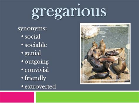 Gregarious Definition