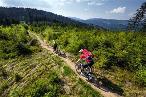 Najlepsze Trasy Rowerowe W Czechach Na Walizkach