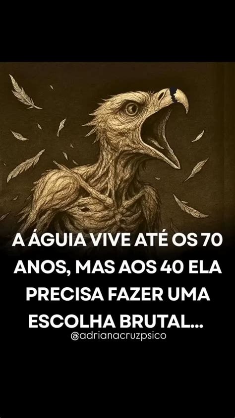 A Aguia Quebra O Proprio Bico