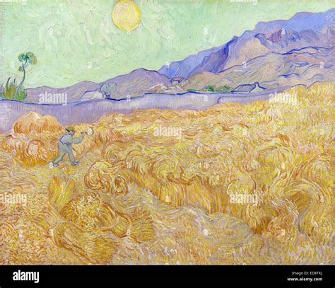 Vincent Van Gogh Champ De Bl Avec Un Reaper Huile Sur Toile Van