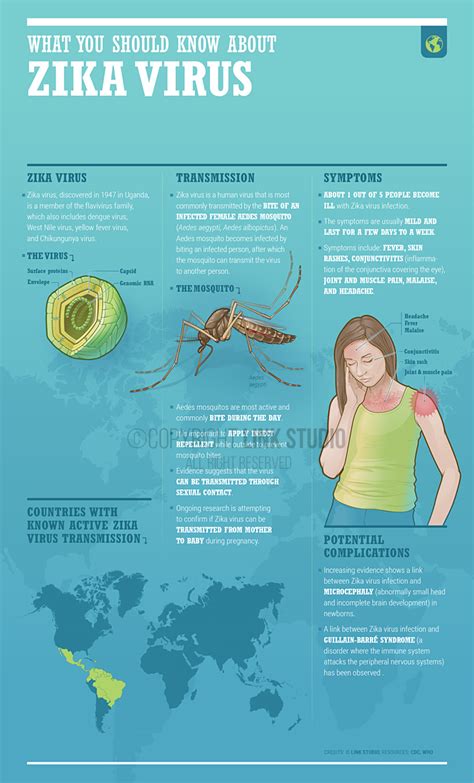 Infographic Zika