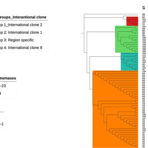 Phylogenetic Tree Of The 75 Clinical Isolates Of Carbapenem Resistant Download Scientific