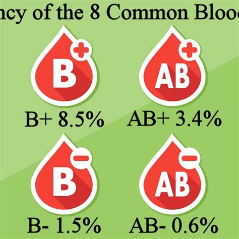 What Is The Most Common Blood Type In Dogs