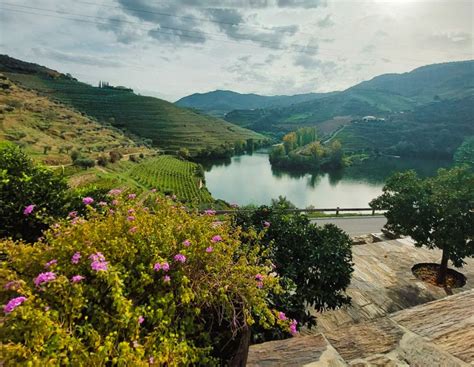 From Porto Full Day Douro Valley Wine Tour