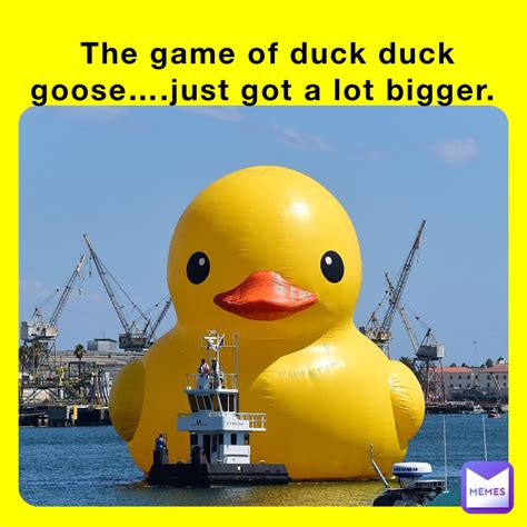 The Game Of Duck Duck Goosejust Got A Lot Bigger Joej41 Memes