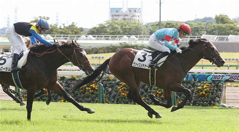 【東京新馬戦】ヴァイスメテオール 力強く快勝丸山「素晴らしい馬」 ライブドアニュース