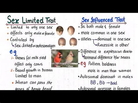 Sex Limited Trait Sex Influenced Trait Class Youtube