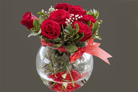 Red Roses In Glass Vase Isolated On White Background Stock Image